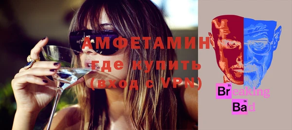 прущие грибы Магас