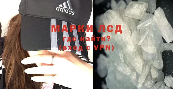 прущие грибы Магас