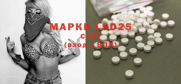 прущие грибы Магас