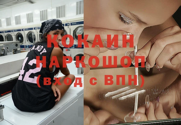 прущие грибы Магас