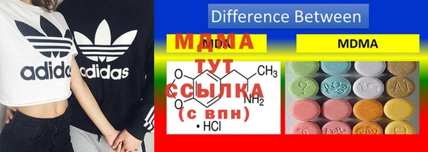 прущие грибы Магас