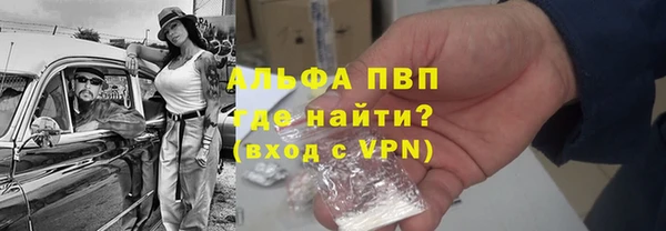 прущие грибы Магас