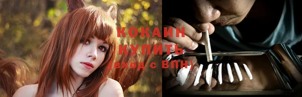 прущие грибы Магас