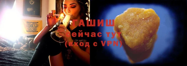 прущие грибы Магас