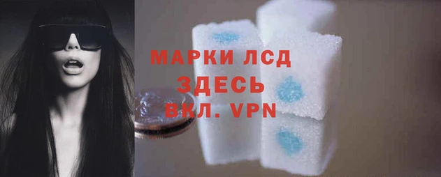 прущие грибы Магас