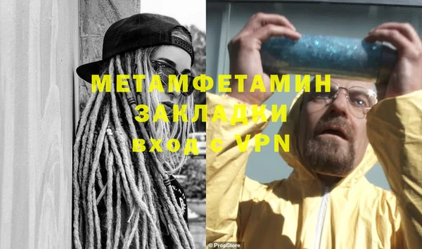 прущие грибы Магас