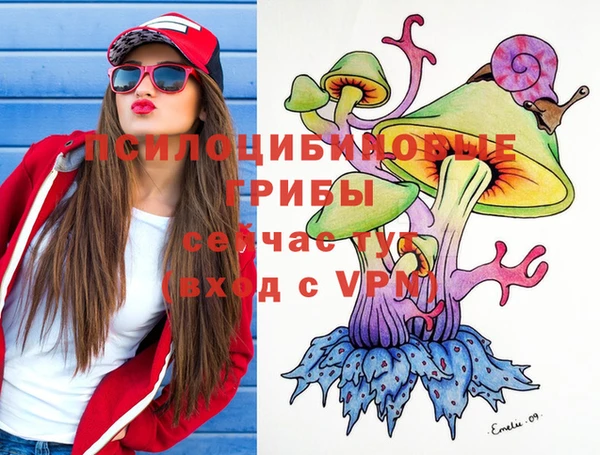 2c-b Майский