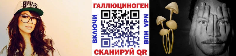 Галлюциногенные грибы Psilocybe  как найти закладки  Химки 